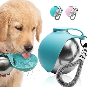 Portable Dog Water Bottle with Bowl 10oz Stainless Steel Leak Proof Blue