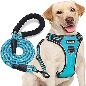 tobeDRI No Pull Dog Harness Adjustable Reflective Oxford Blue Large with Free Leash