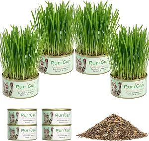 TitaniX 4 Can Cat Grass Kit Premium Organic Non GMO Wheat Seeds