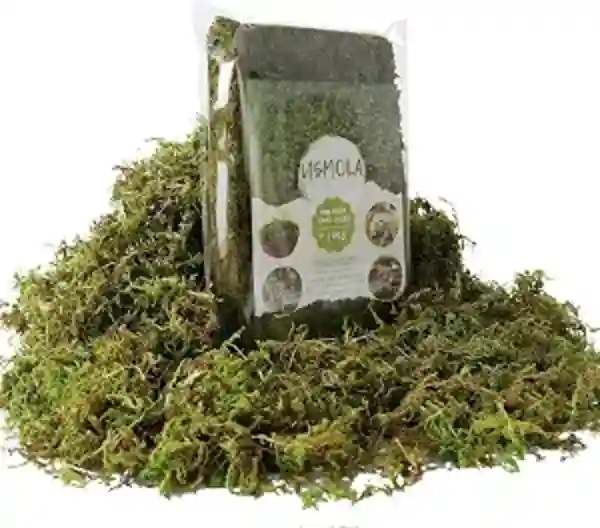 USMOLA Fake Green Moss for Potted Plants and DIY Crafts