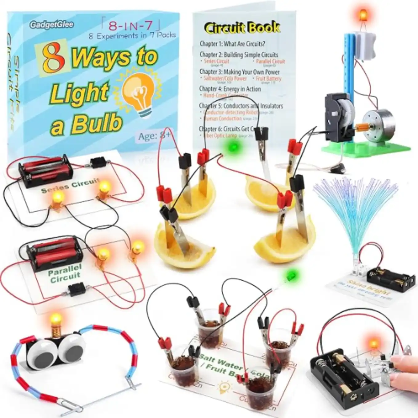 STEM Electric Circuit Kit, Electricity Science Project Light Bulb Experiments for Kids Teens, Electrical Engineering Kits Age 8-12 12-14, Fruit Energy Projects Circuits Experiment