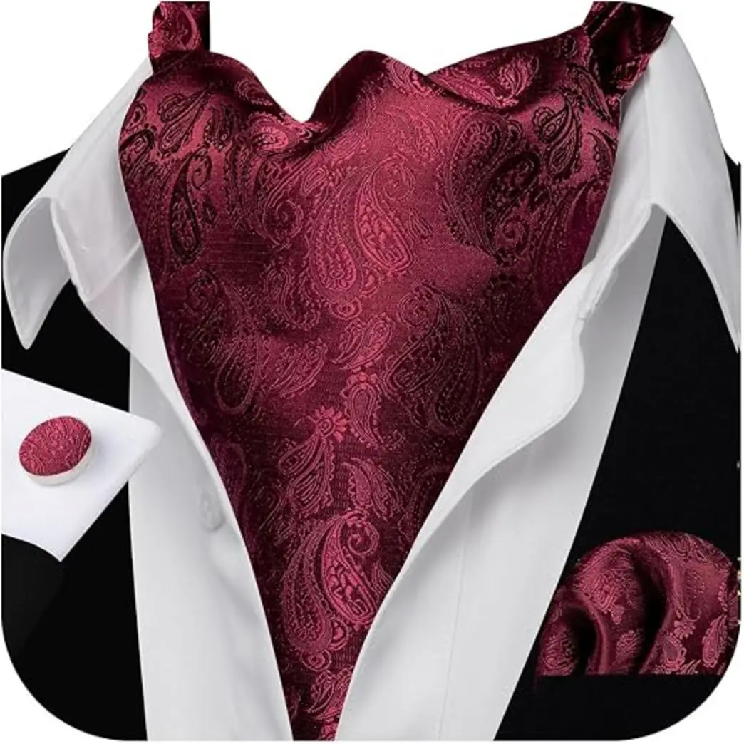 Barry.Wang Mens Ascot Cravat Tie Set with Handkerchief and Cufflinks