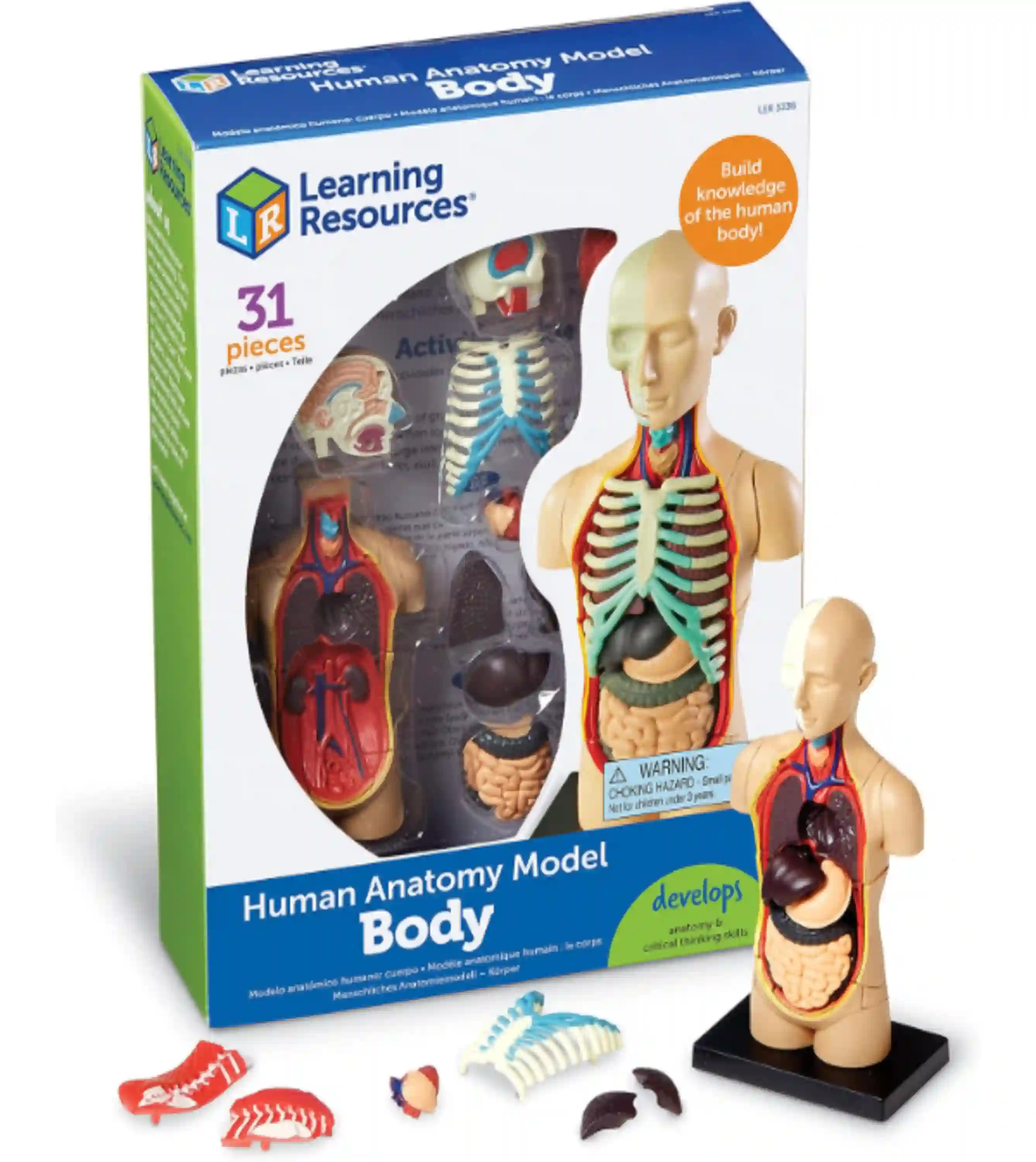 Learning Resources Human Anatomy Model Body Science Kit