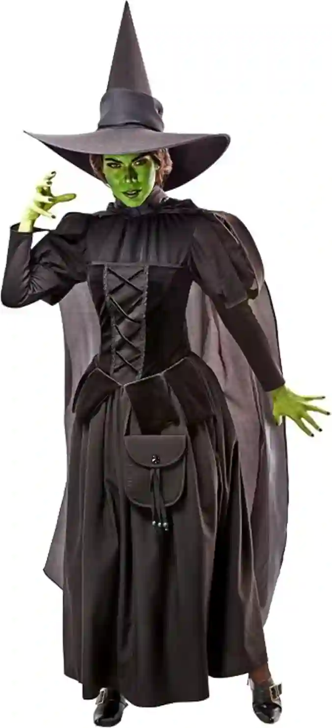 Rubies Wizard of Oz Wicked Witch Costume Dress for Adults