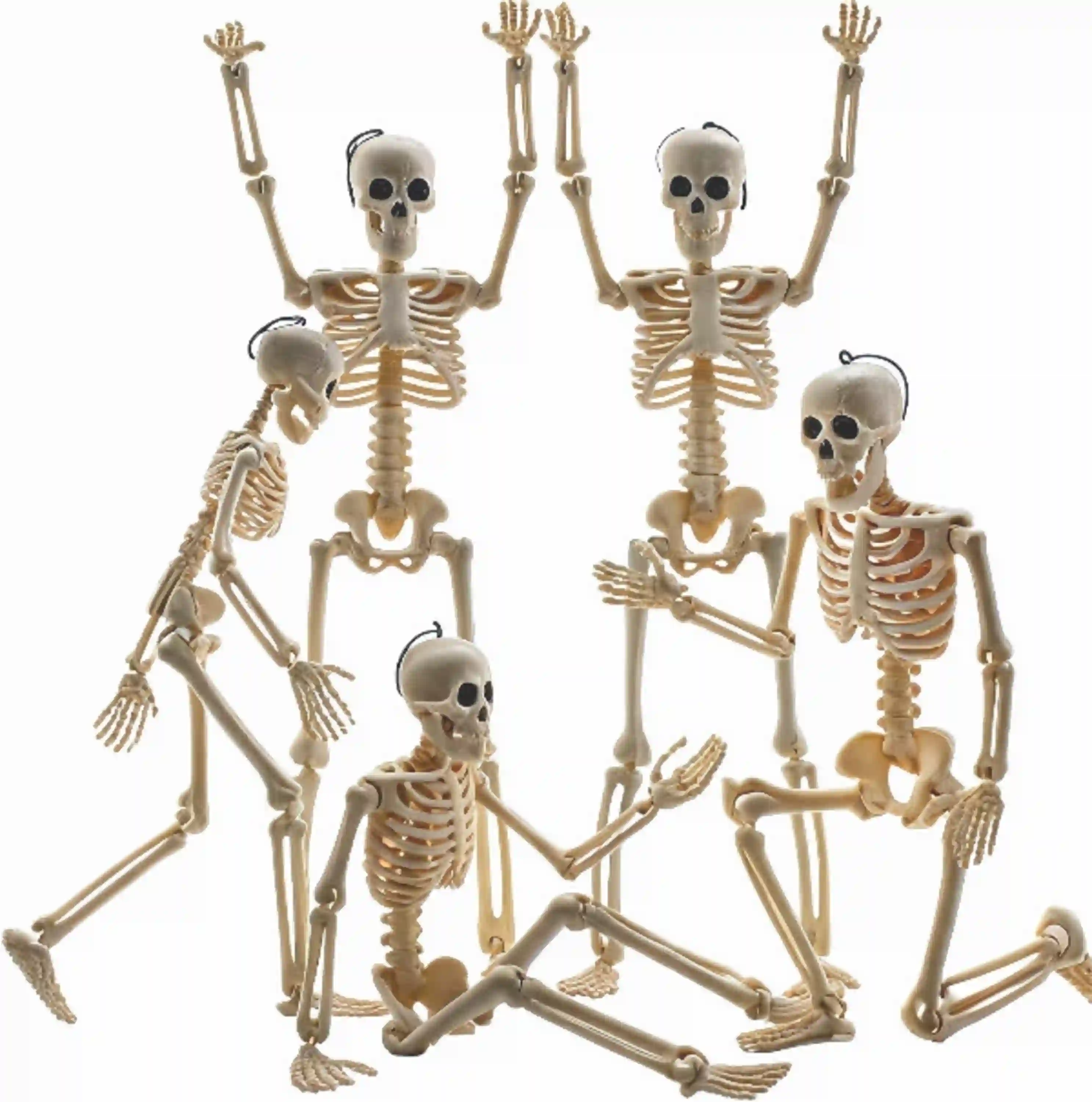 Feir 16 Inch Skeletons Halloween Decorations 5 Pack Posable Full Body Skeletons