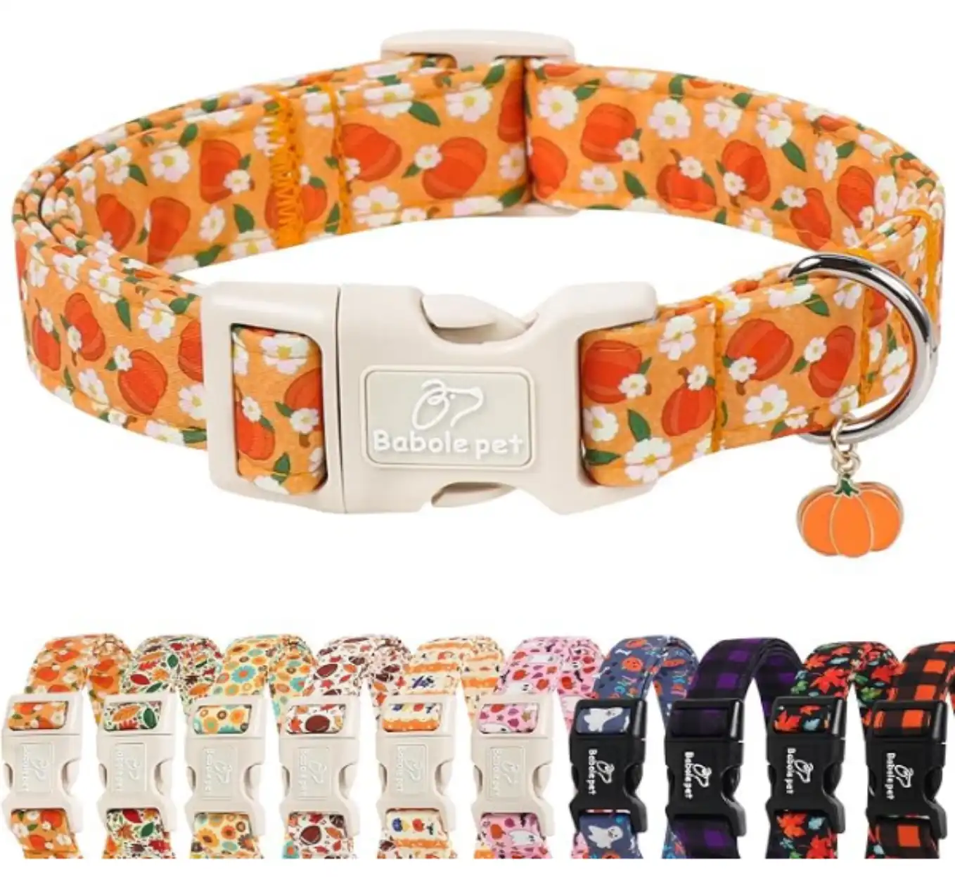 Floral Pumpkin Fall Dog Collar